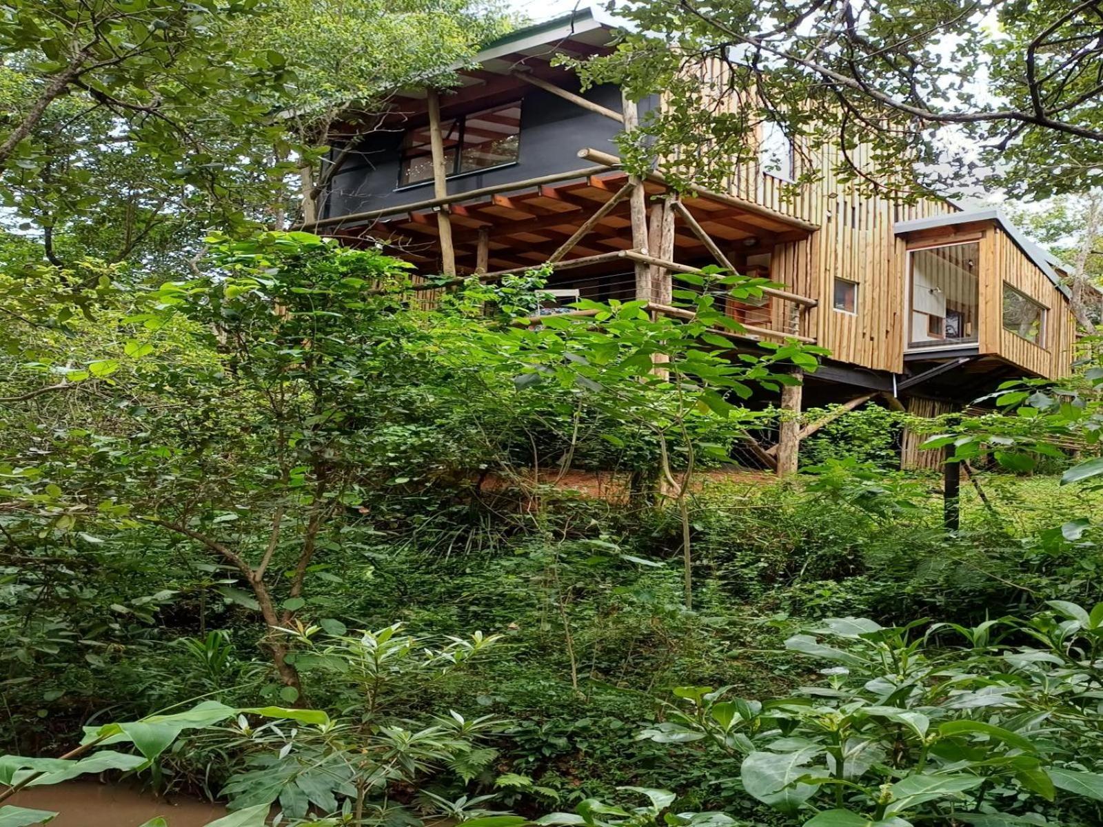 Waterbessiebos Cottage Tzaneen Habitación foto