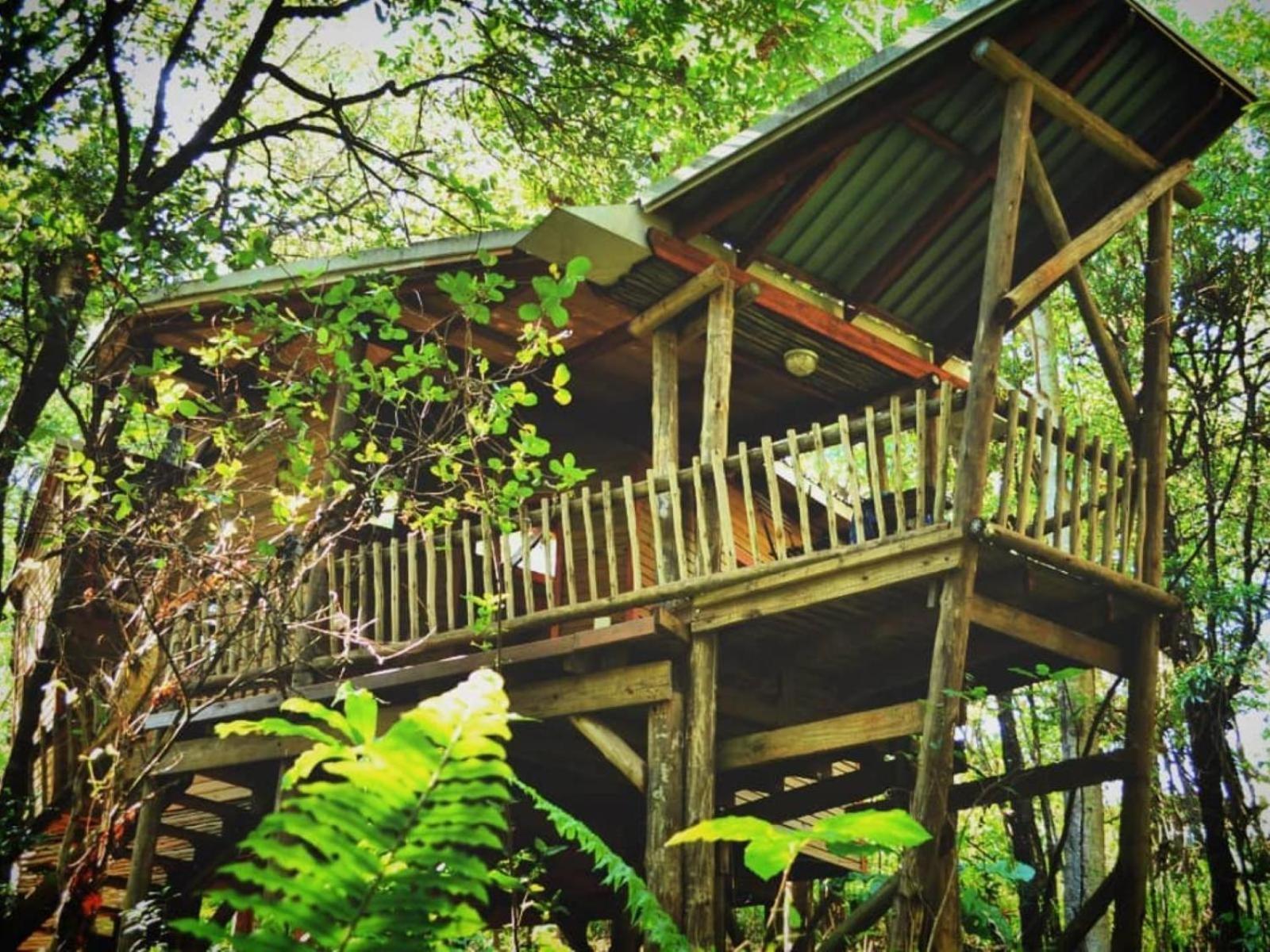 Waterbessiebos Cottage Tzaneen Exterior foto